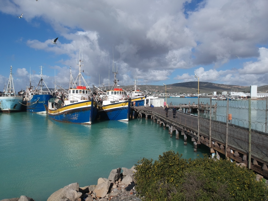 0 Bedroom Property for Sale in Harbour Lights Western Cape